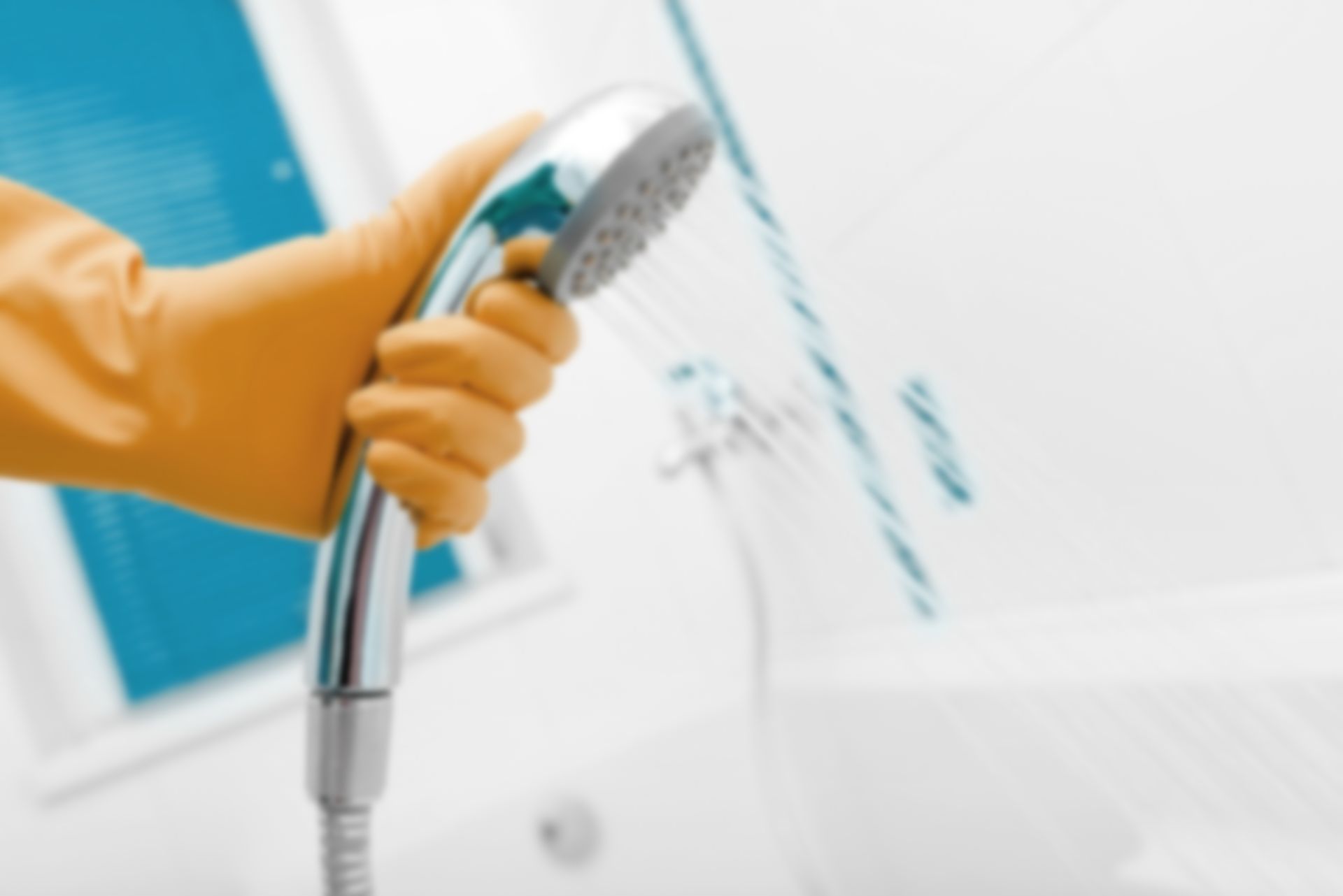 Cleaning Service Visits